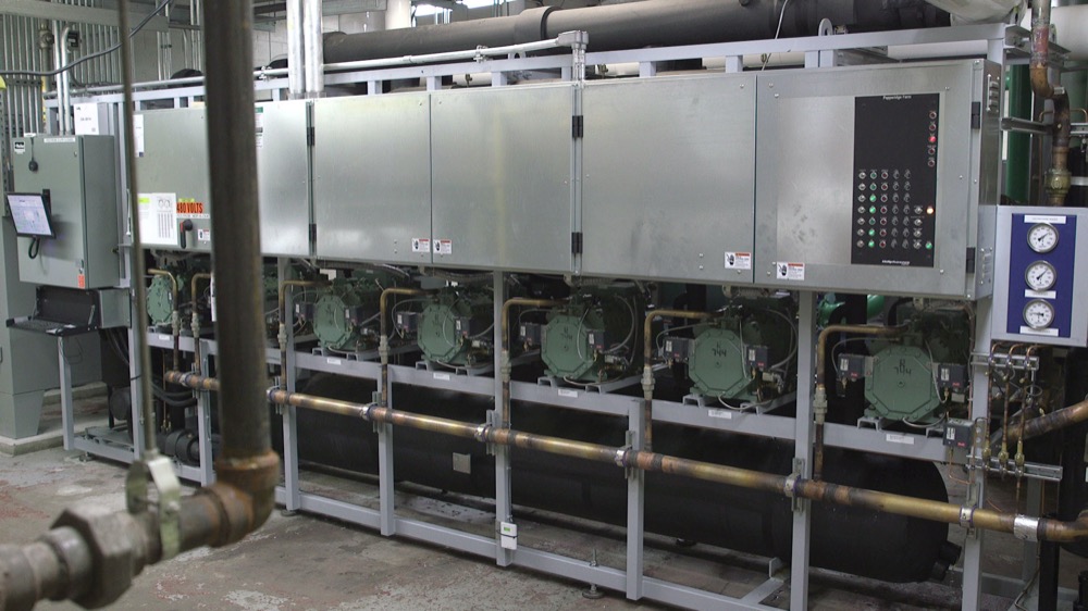 advansor-co2-Industrial-refrigeration-photo-campbells-0052